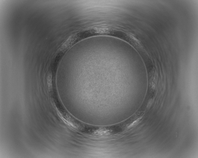 X0000059090213200510101153