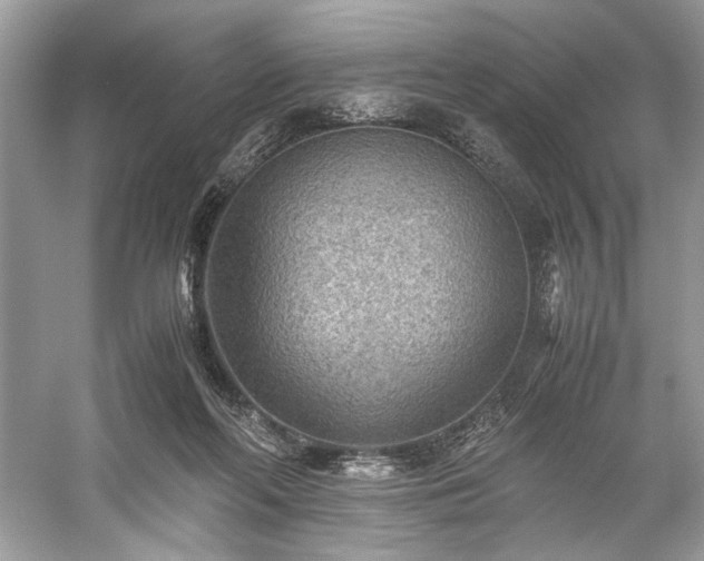 X0000059090214200510101153