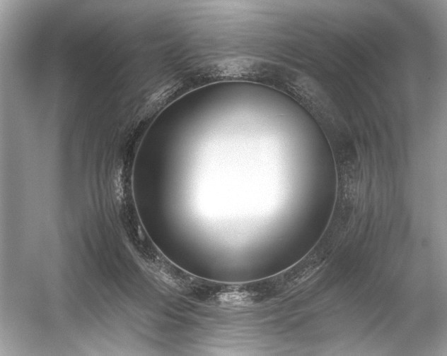 X0000059090216200510101153