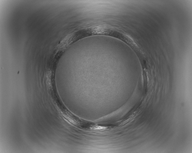 X0000059090217200510101153