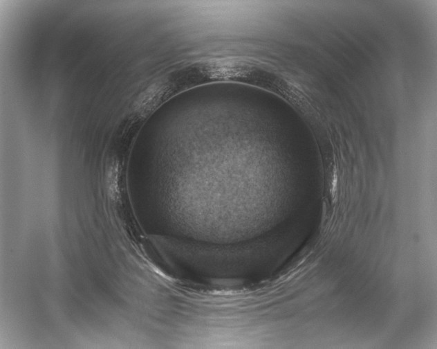 X0000059090219200510101153