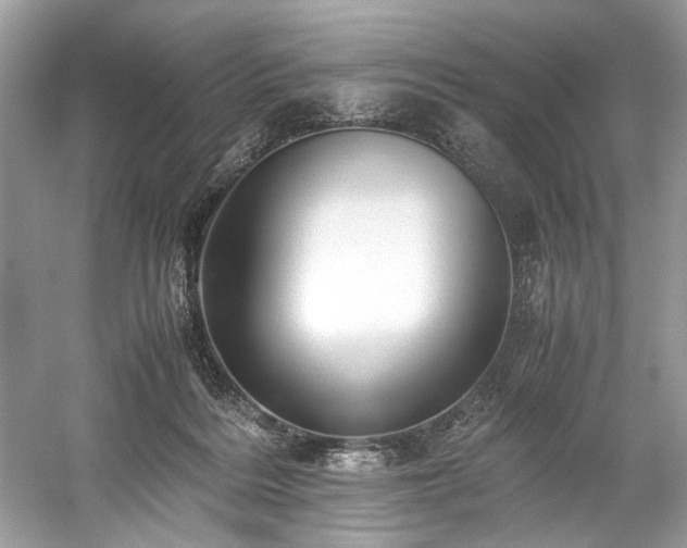 X0000059090220200510101153