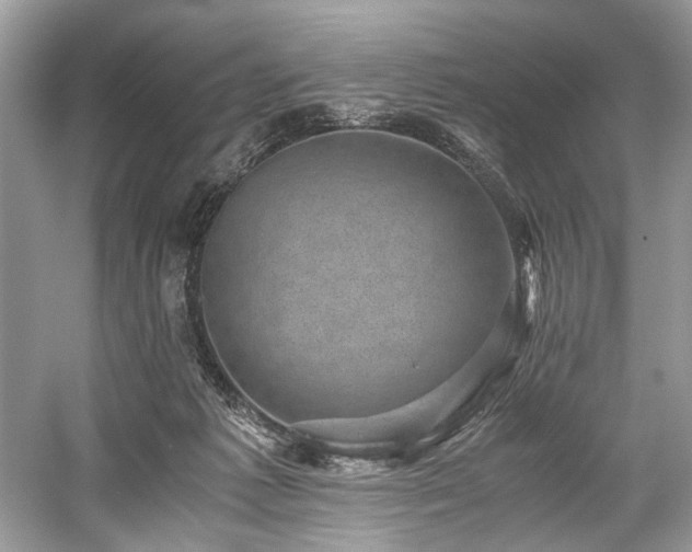 X0000059090221200510101153