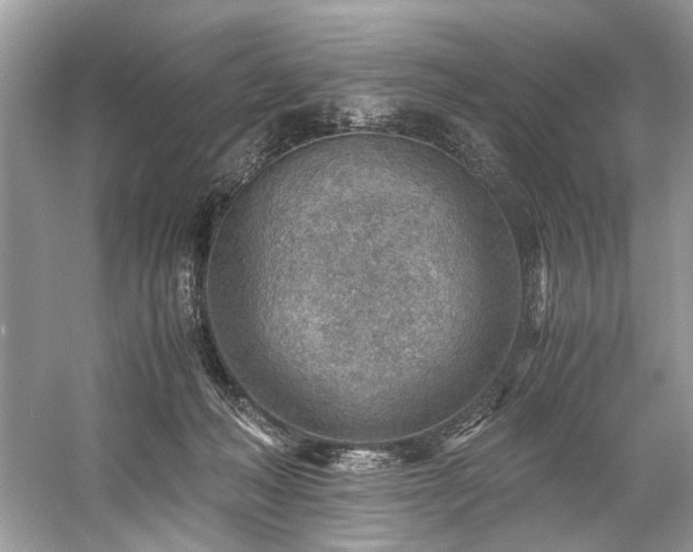 X0000059090222200510101153