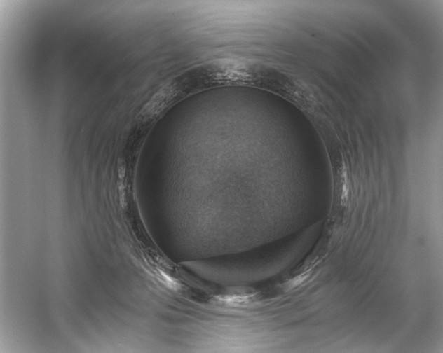 X0000059090223200510101153