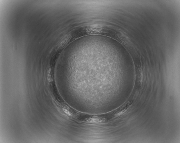 X0000059090224200510101153