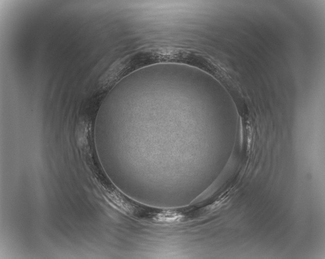 X0000059090225200510101153