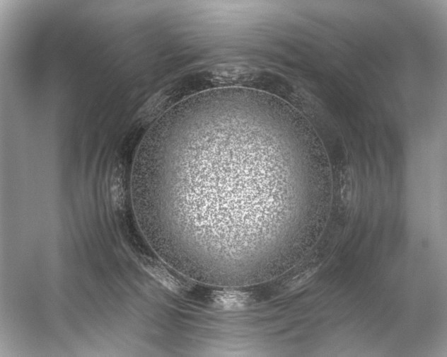 X0000059090226200510101153