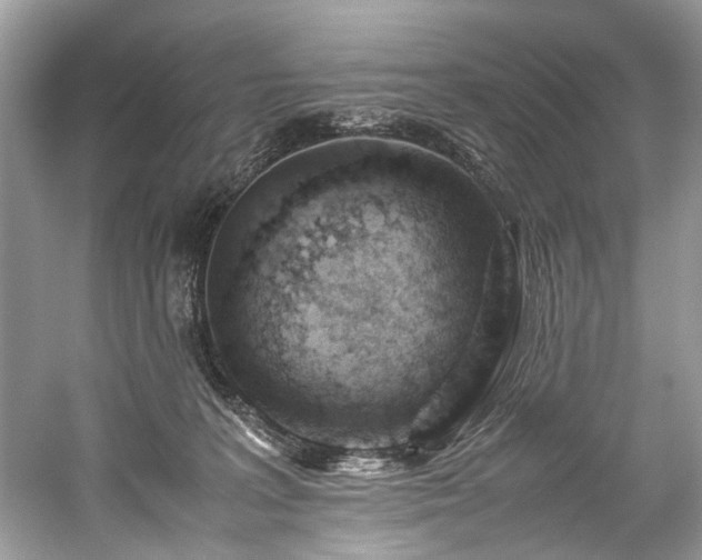 X0000059090227200510101153