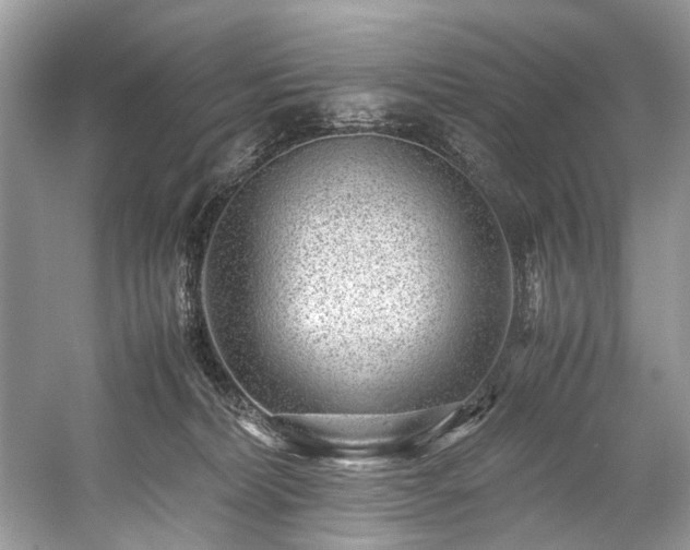 X0000059090228200510101153