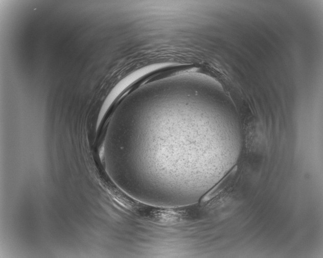 X0000059090229200510101153