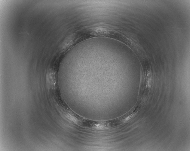 X0000059090232200510101153