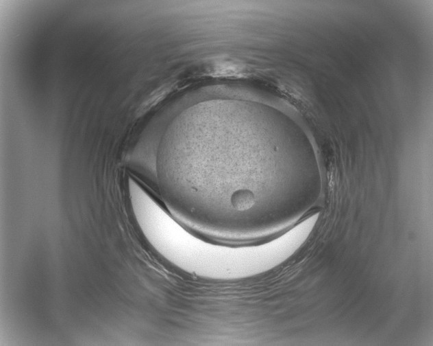 X0000059090233200510101153