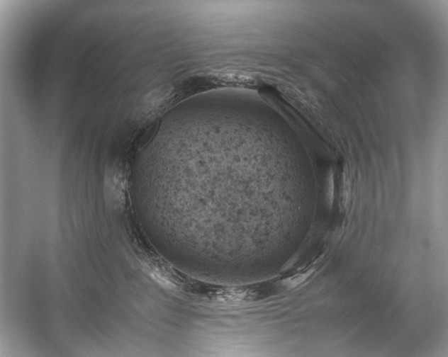 X0000059090235200510101153