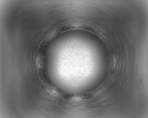 X0000059090236200510101153