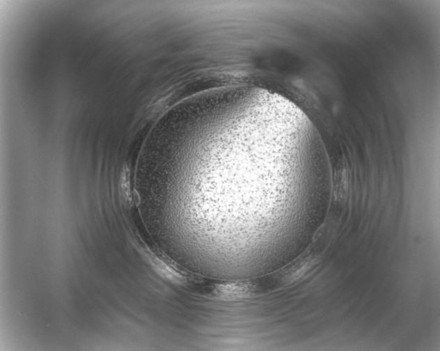 X0000059090238200510101153