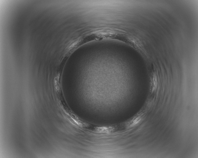 X0000059090239200510101153