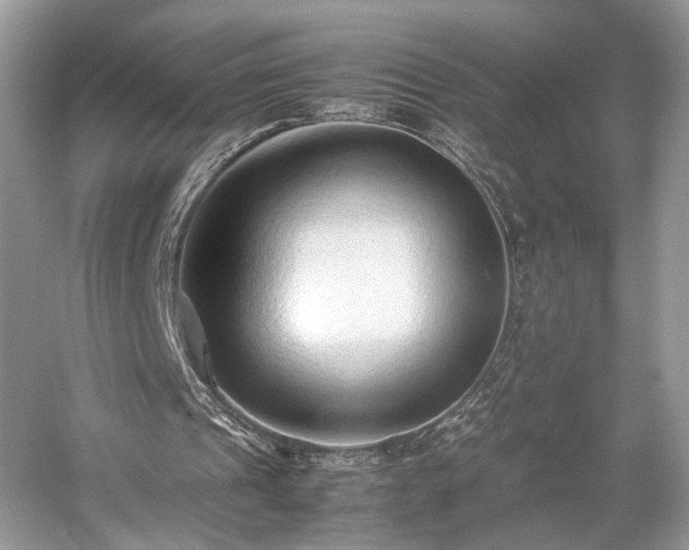 X0000059090241200510101152