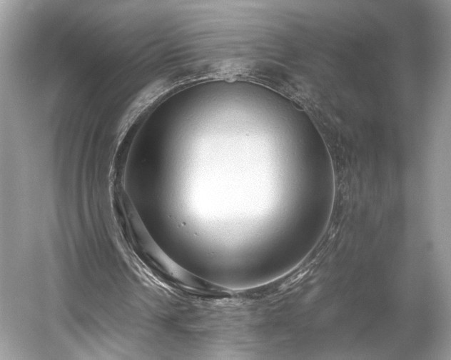 X0000059090242200510101152