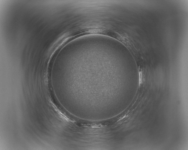 X0000059090243200510101152