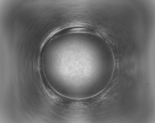 X0000059090244200510101152