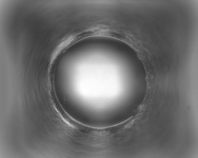 X0000059090245200510101152