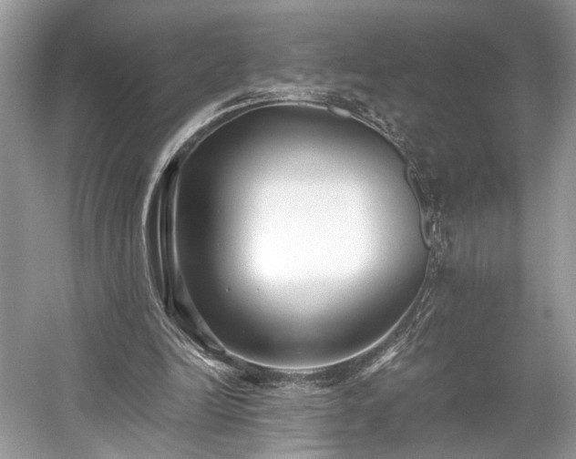 X0000059090246200510101152