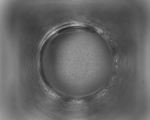 X0000059090247200510101152