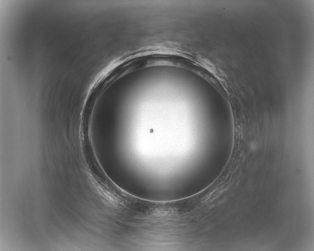 X0000059090248200510101152