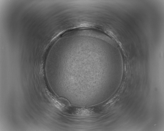 X0000059090249200510101152