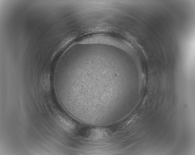 X0000059090250200510101152