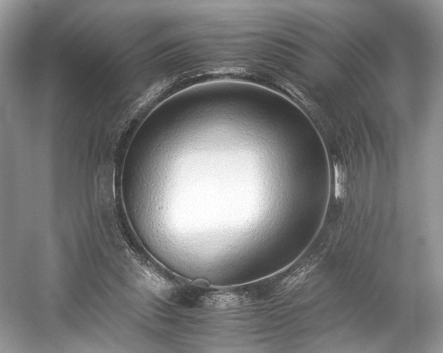 X0000059090253200510101152