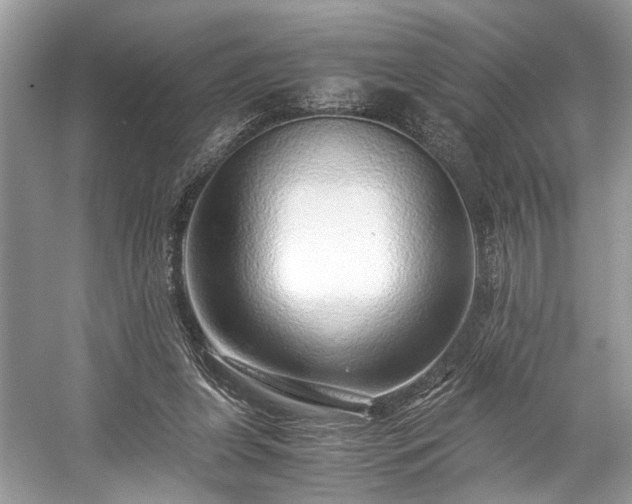 X0000059090255200510101152