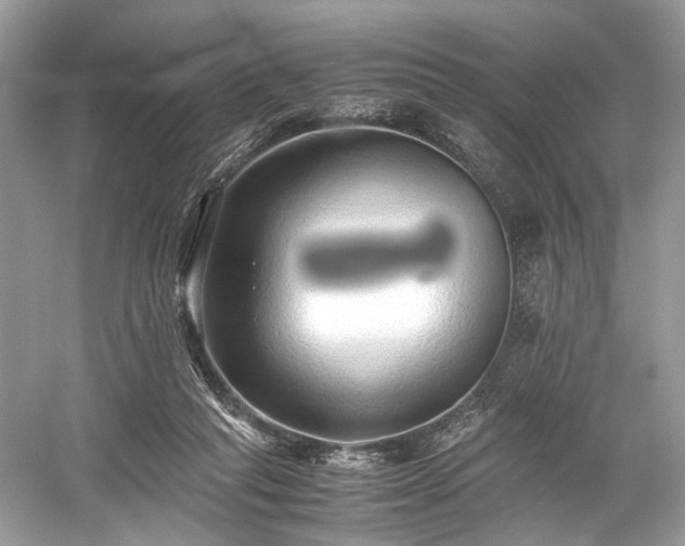 X0000059090261200510101152