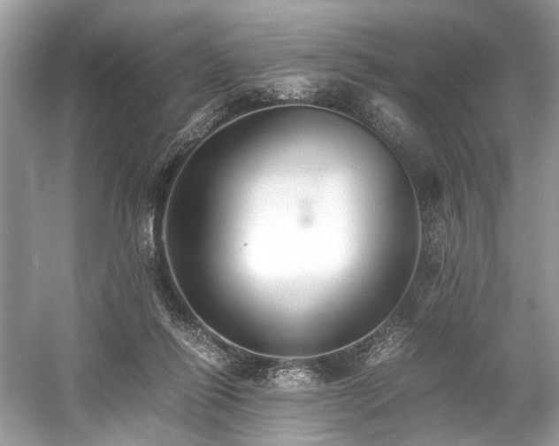 X0000059090262200510101152