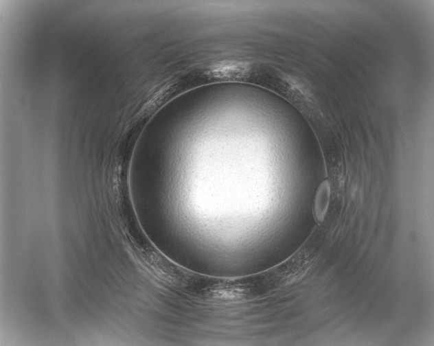 X0000059090263200510101152