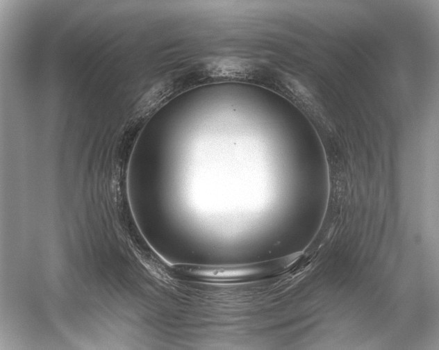 X0000059090265200510101152