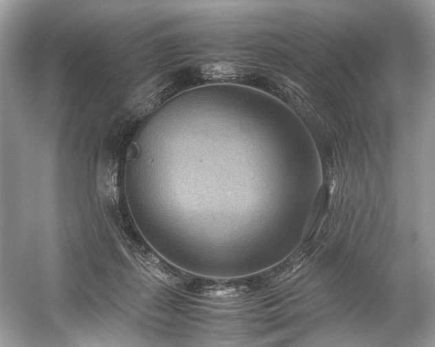 X0000059090267200510101152