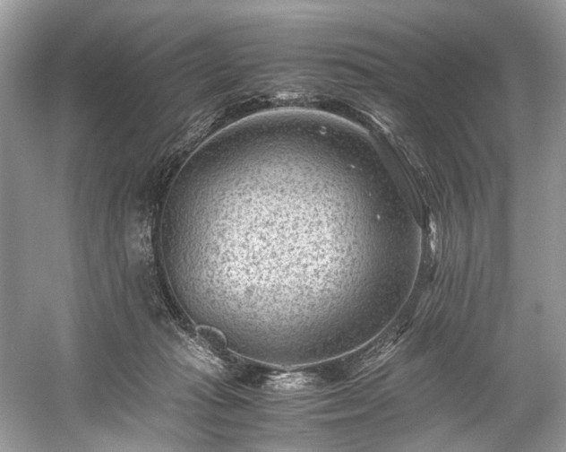 X0000059090269200510101152