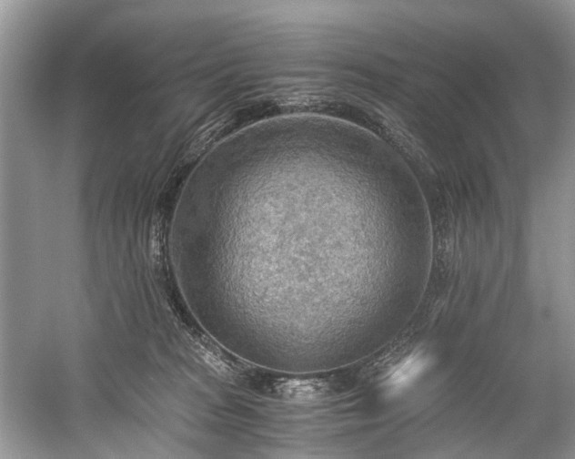 X0000059090277200510101152