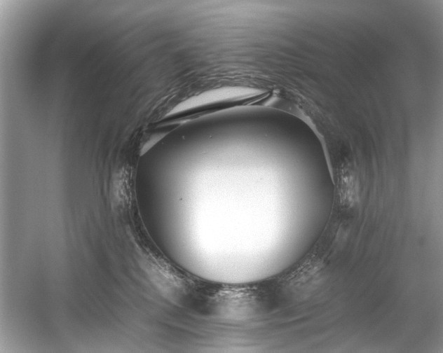 X0000059090280200510101152