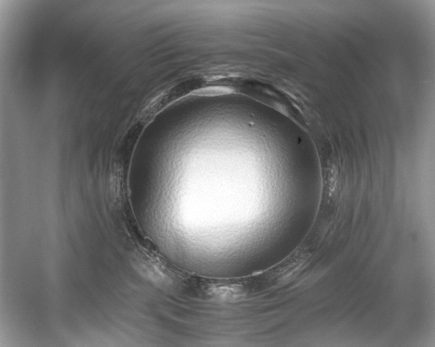 X0000059090283200510101152