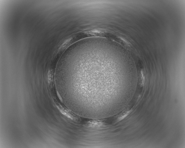 X0000059090284200510101152