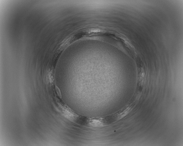 X0000059090285200510101152