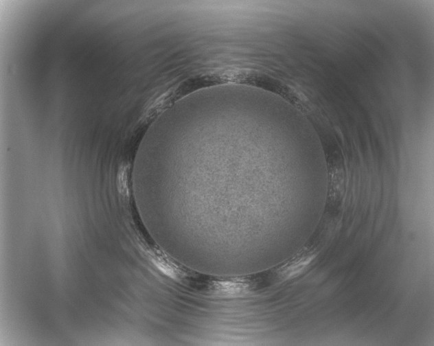 X0000059090286200510101153