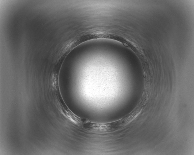 X0000059090288200510101153