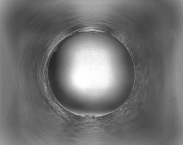 X0000059090289200510101152