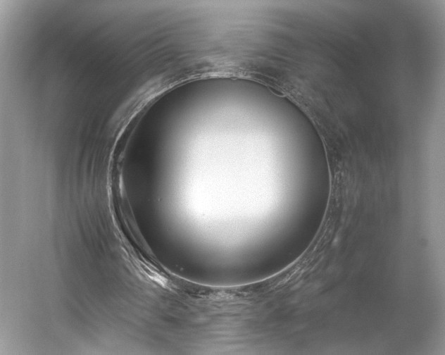 X0000059090290200510101152