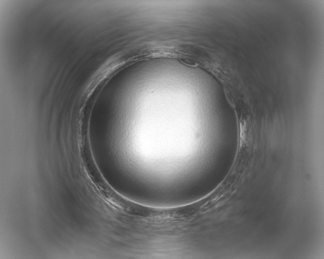 X0000059090291200510101152