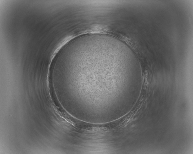 X0000059090292200510101152